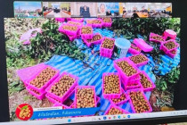 โครงการพัฒนาคุณภาพการบริหารจัดการภาครัฐ สู่ระบบราชการ 4.0 พารามิเตอร์รูปภาพ 9