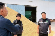 ลงพื้นที่ตรวจสอบฉาง โกดังหรือไซโลเก็บข้าวเปลือก พารามิเตอร์รูปภาพ 3