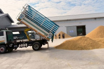 ลงพื้นที่ตรวจสอบฉาง โกดังหรือไซโลเก็บข้าวเปลือก พารามิเตอร์รูปภาพ 4