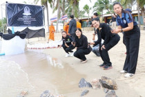 กิจกรรมปล่อยพันธุ์สัตว์น้ำ พารามิเตอร์รูปภาพ 7