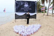 กิจกรรมปล่อยพันธุ์สัตว์น้ำ พารามิเตอร์รูปภาพ 14