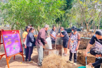 โครงการการนำวัสดุเหลือใช้ทางการเกษตรมาใช้ประโยชน์ พารามิเตอร์รูปภาพ 9