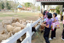 ทัศนศึกษาเพื่อเสริมสร้างประสบการณ์ด้านการสหกรณ์ พารามิเตอร์รูปภาพ 8