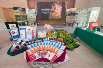 ประชุมการสรรหาปราชญ์เกษตรของแผ่นดิน พารามิเตอร์รูปภาพ 16