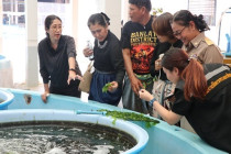 ตรวจเยี่ยมโครงการอันเนื่องมาจากพระราชดำริจังหวัดเพชรบุรี พารามิเตอร์รูปภาพ 15