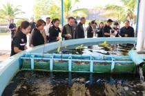 ตรวจเยี่ยมโครงการอันเนื่องมาจากพระราชดำริจังหวัดเพชรบุรี พารามิเตอร์รูปภาพ 18
