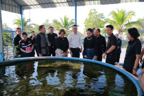 ตรวจเยี่ยมโครงการอันเนื่องมาจากพระราชดำริจังหวัดเพชรบุรี พารามิเตอร์รูปภาพ 19