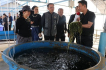 ตรวจเยี่ยมโครงการอันเนื่องมาจากพระราชดำริจังหวัดเพชรบุรี พารามิเตอร์รูปภาพ 21