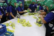 รองอธิบดีกรมส่งเสริมสหกรณ์ลงพื้นที่จังหวัดเพชรบุรี พารามิเตอร์รูปภาพ 11