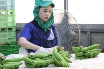 รองอธิบดีกรมส่งเสริมสหกรณ์ลงพื้นที่จังหวัดเพชรบุรี พารามิเตอร์รูปภาพ 12