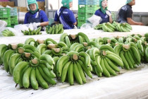 รองอธิบดีกรมส่งเสริมสหกรณ์ลงพื้นที่จังหวัดเพชรบุรี พารามิเตอร์รูปภาพ 13