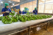 รองอธิบดีกรมส่งเสริมสหกรณ์ลงพื้นที่จังหวัดเพชรบุรี พารามิเตอร์รูปภาพ 14