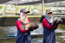 ประชุมตรวจติดตามงานของผู้ตรวจราชการกระทรวงเกษตรและสหกรณ์ พารามิเตอร์รูปภาพ 18