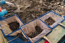 ประชุมตรวจติดตามงานของผู้ตรวจราชการกระทรวงเกษตรและสหกรณ์ พารามิเตอร์รูปภาพ 26