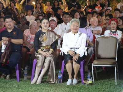 การแสดง Mini Light &amp; Sound พารามิเตอร์รูปภาพ 1