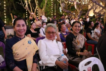 การแสดง Mini Light &amp; Sound พารามิเตอร์รูปภาพ 6