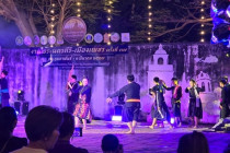 การแสดง Mini Light &amp; Sound พารามิเตอร์รูปภาพ 10