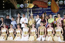 การแสดง Mini Light &amp; Sound พารามิเตอร์รูปภาพ 1