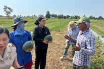 ตรวจเยี่ยมแปลงสมาชิกสหกรณ์เครดิตยูเนี่ยนหนองศาลา จำกัด พารามิเตอร์รูปภาพ 4