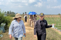 ตรวจเยี่ยมแปลงสมาชิกสหกรณ์เครดิตยูเนี่ยนหนองศาลา จำกัด พารามิเตอร์รูปภาพ 7