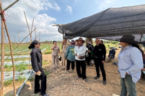 ตรวจเยี่ยมแปลงสมาชิกสหกรณ์เครดิตยูเนี่ยนหนองศาลา จำกัด พารามิเตอร์รูปภาพ 8