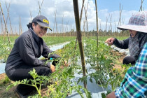 ตรวจเยี่ยมแปลงสมาชิกสหกรณ์เครดิตยูเนี่ยนหนองศาลา จำกัด พารามิเตอร์รูปภาพ 10