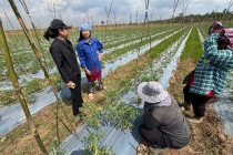 ตรวจเยี่ยมแปลงสมาชิกสหกรณ์เครดิตยูเนี่ยนหนองศาลา จำกัด พารามิเตอร์รูปภาพ 11