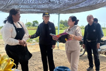 ตรวจเยี่ยมแปลงสมาชิกสหกรณ์เครดิตยูเนี่ยนหนองศาลา จำกัด พารามิเตอร์รูปภาพ 13