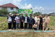 ตรวจเยี่ยมแปลงสมาชิกสหกรณ์เครดิตยูเนี่ยนหนองศาลา จำกัด พารามิเตอร์รูปภาพ 14