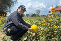 ตรวจเยี่ยมแปลงสมาชิกสหกรณ์เครดิตยูเนี่ยนหนองศาลา จำกัด พารามิเตอร์รูปภาพ 15