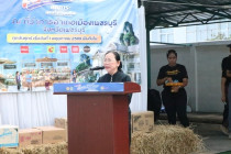 Kick - off การจำหน่ายสินค้า “ไทยช่วยไทย” พารามิเตอร์รูปภาพ 1