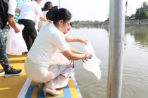 โครงการพัฒนาคุณภาพชีวิตประชาชนในพื้นที่ ... พารามิเตอร์รูปภาพ 8