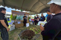 เวทีรณรงค์สร้างการรับรู้และการเรียนรู้การเกษตรที่เป็นมิตรกับสิ่งแวดล้อม ... พารามิเตอร์รูปภาพ 11