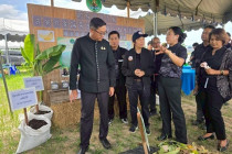 เวทีรณรงค์สร้างการรับรู้และการเรียนรู้การเกษตรที่เป็นมิตรกับสิ่งแวดล้อม ... พารามิเตอร์รูปภาพ 7