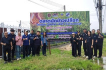 โครงการจัดตลาดนัดข้าวเปลือก พารามิเตอร์รูปภาพ 1