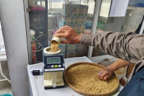 โครงการจัดตลาดนัดข้าวเปลือก พารามิเตอร์รูปภาพ 8