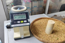 โครงการจัดตลาดนัดข้าวเปลือก พารามิเตอร์รูปภาพ 9