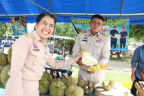 พิธีเปิดงานของดีตำบลป่าเด็ง พารามิเตอร์รูปภาพ 12
