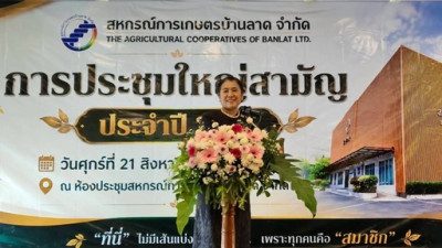ประชุมใหญ่สามัญประจำปี พารามิเตอร์รูปภาพ 1