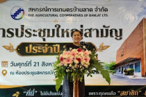 ประชุมใหญ่สามัญประจำปี พารามิเตอร์รูปภาพ 2