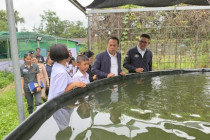 สังเกตการณ์การตัดสินโรงเรียนจัดการเรียนรู้การสหกรณ์ พารามิเตอร์รูปภาพ 5