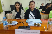ประชุมติดตามและประเมินผลโครงการ พารามิเตอร์รูปภาพ 6