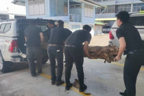 Big Cleaning Day สำนักงาน พารามิเตอร์รูปภาพ 12