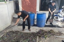 Big Cleaning Day สำนักงาน พารามิเตอร์รูปภาพ 13