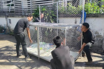 Big Cleaning Day สำนักงาน พารามิเตอร์รูปภาพ 14