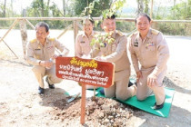 ติดตามการดำเนินงานโครงการอันเนื่องมาจากพระราชดำริในพื้นที่จังหวัดเพชรบุรี ... พารามิเตอร์รูปภาพ 26