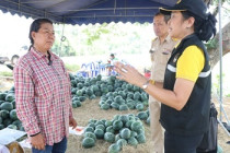 โครงการส่งเสริมอาชีพการ ผสมดินสำหรับปลูกพืชและการสร้างรายได้ พารามิเตอร์รูปภาพ 7